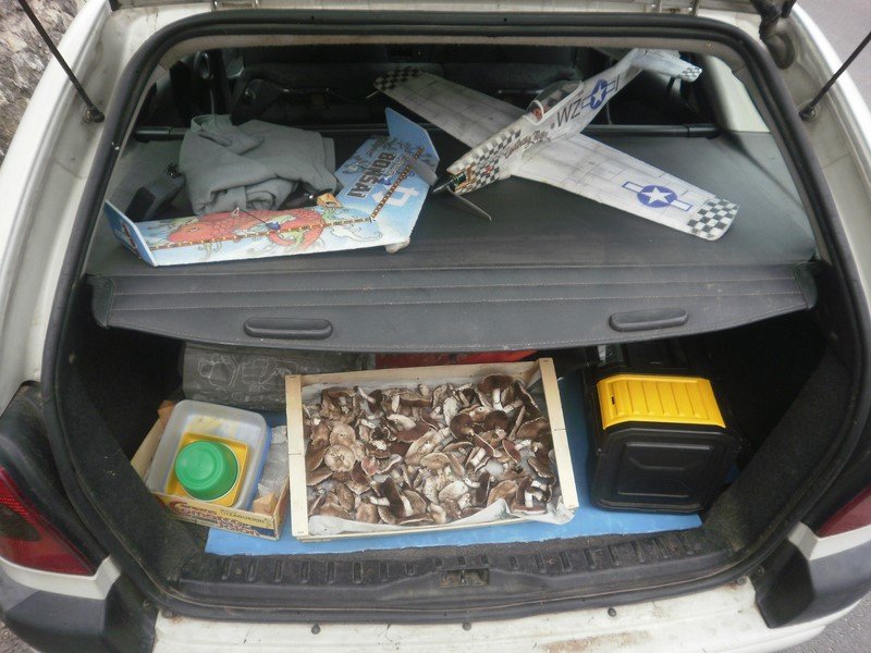 PA151179 (Copier).JPG