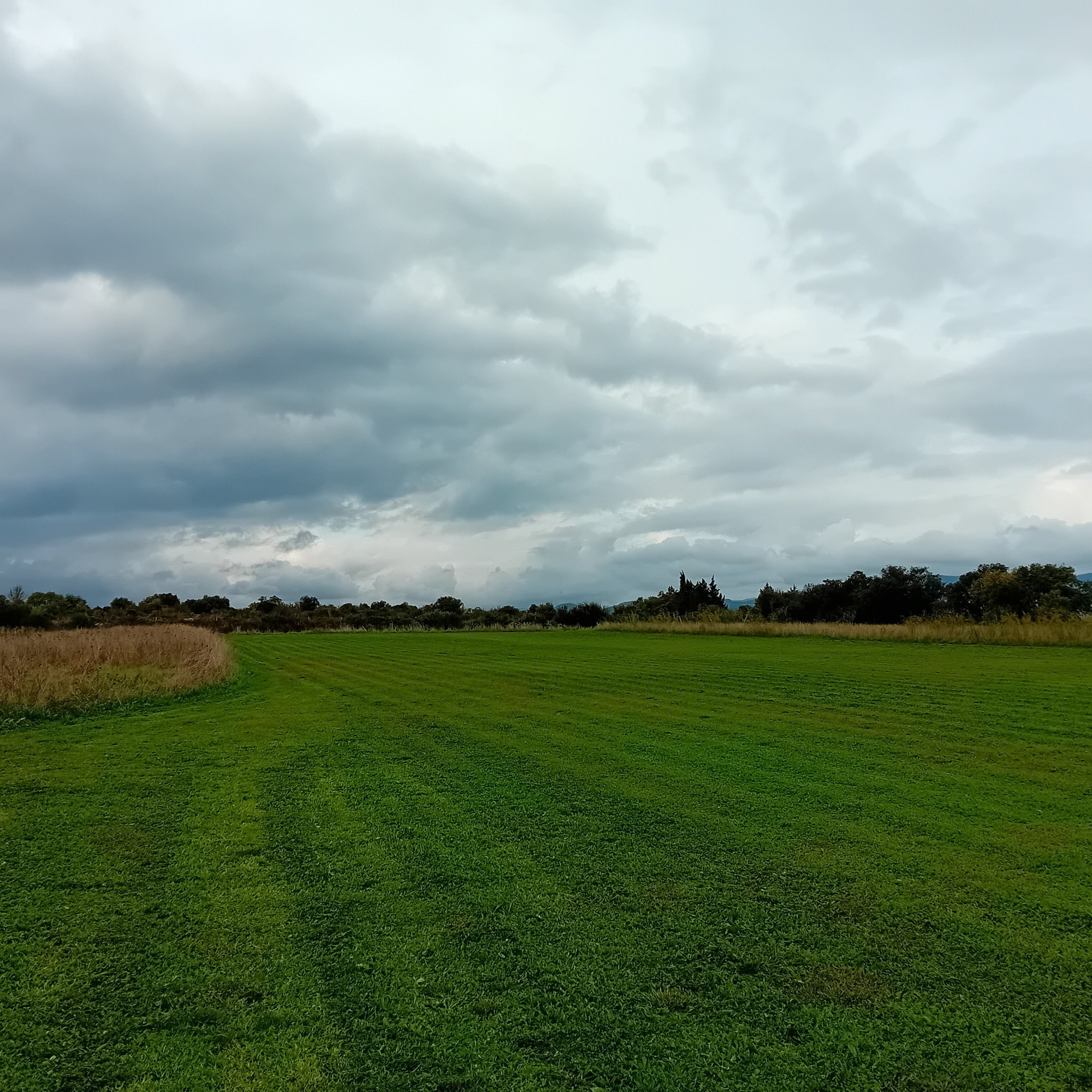 20241025_162856 original.jpg