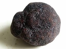 Truffe.jpg