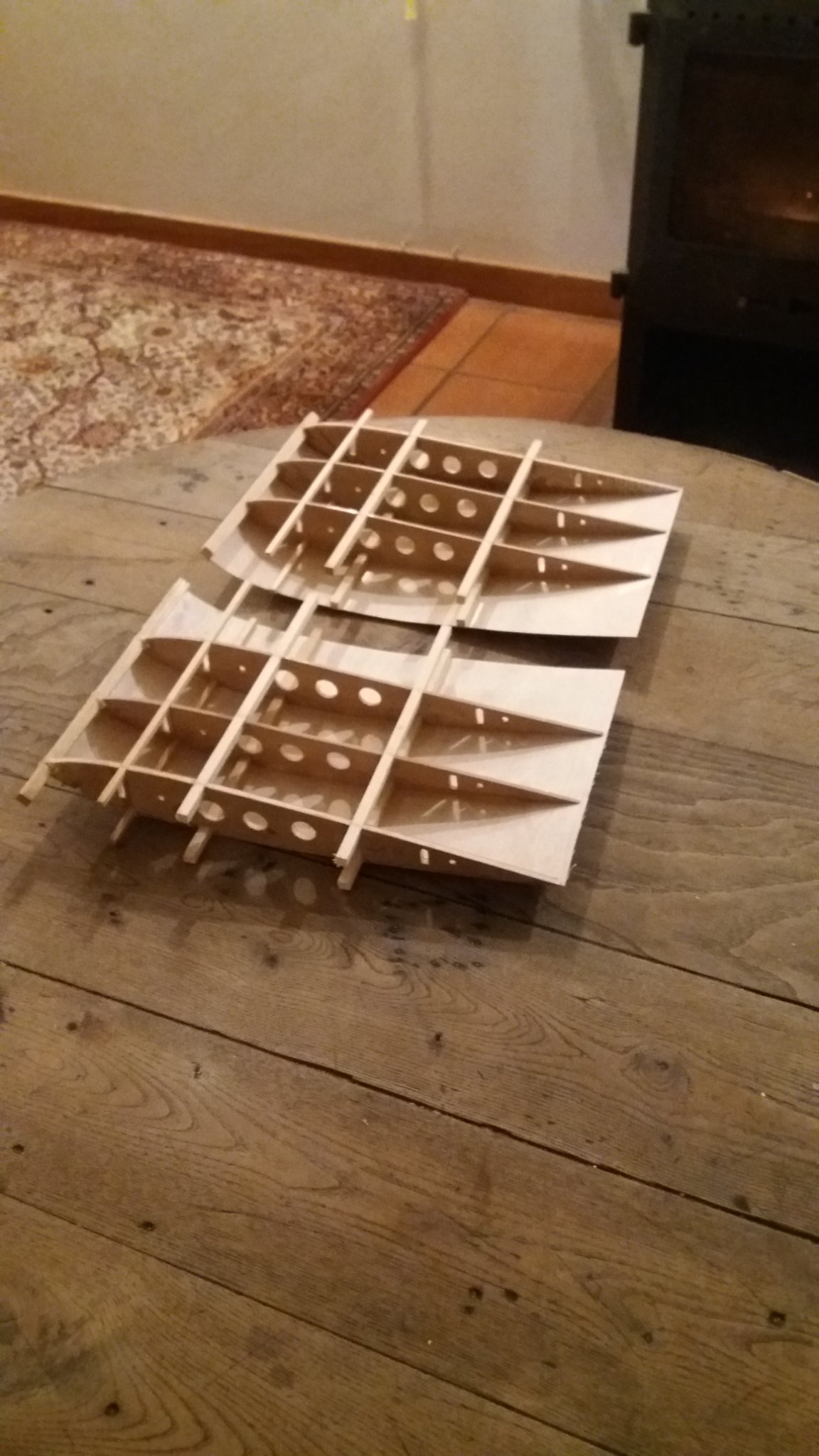 tronçons d'ailes.jpg