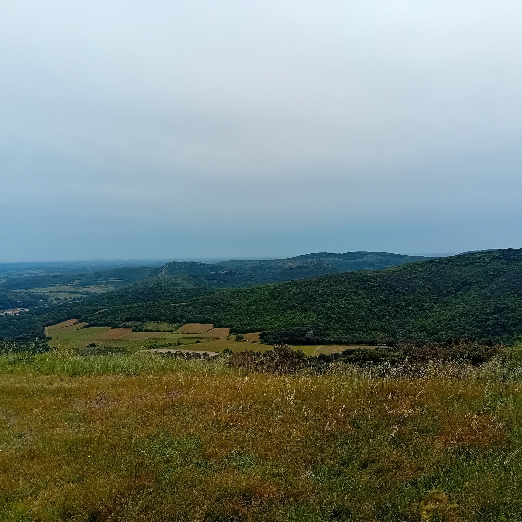 20250502_145141.jpg