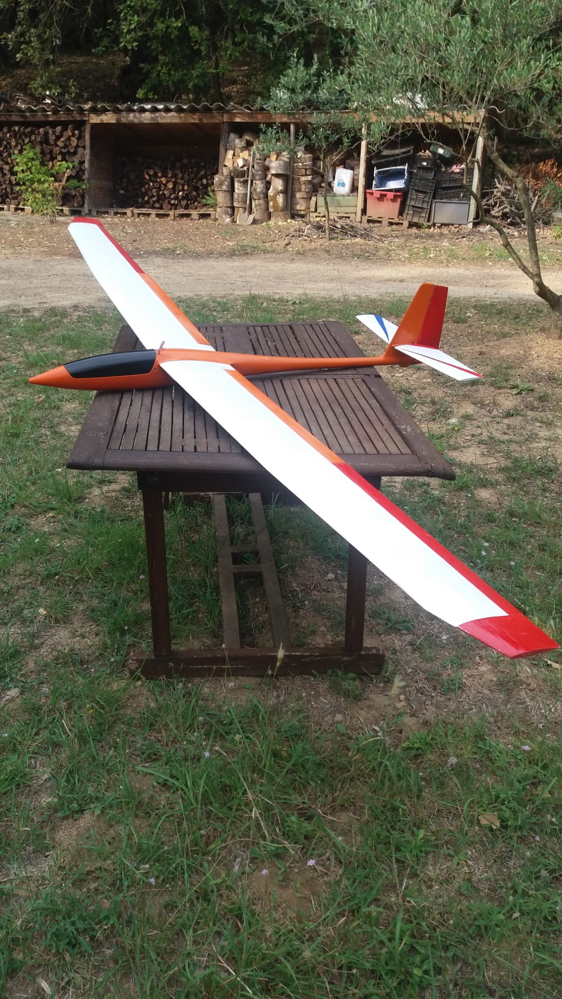 planeur 2.9m perfectionnement .jpg