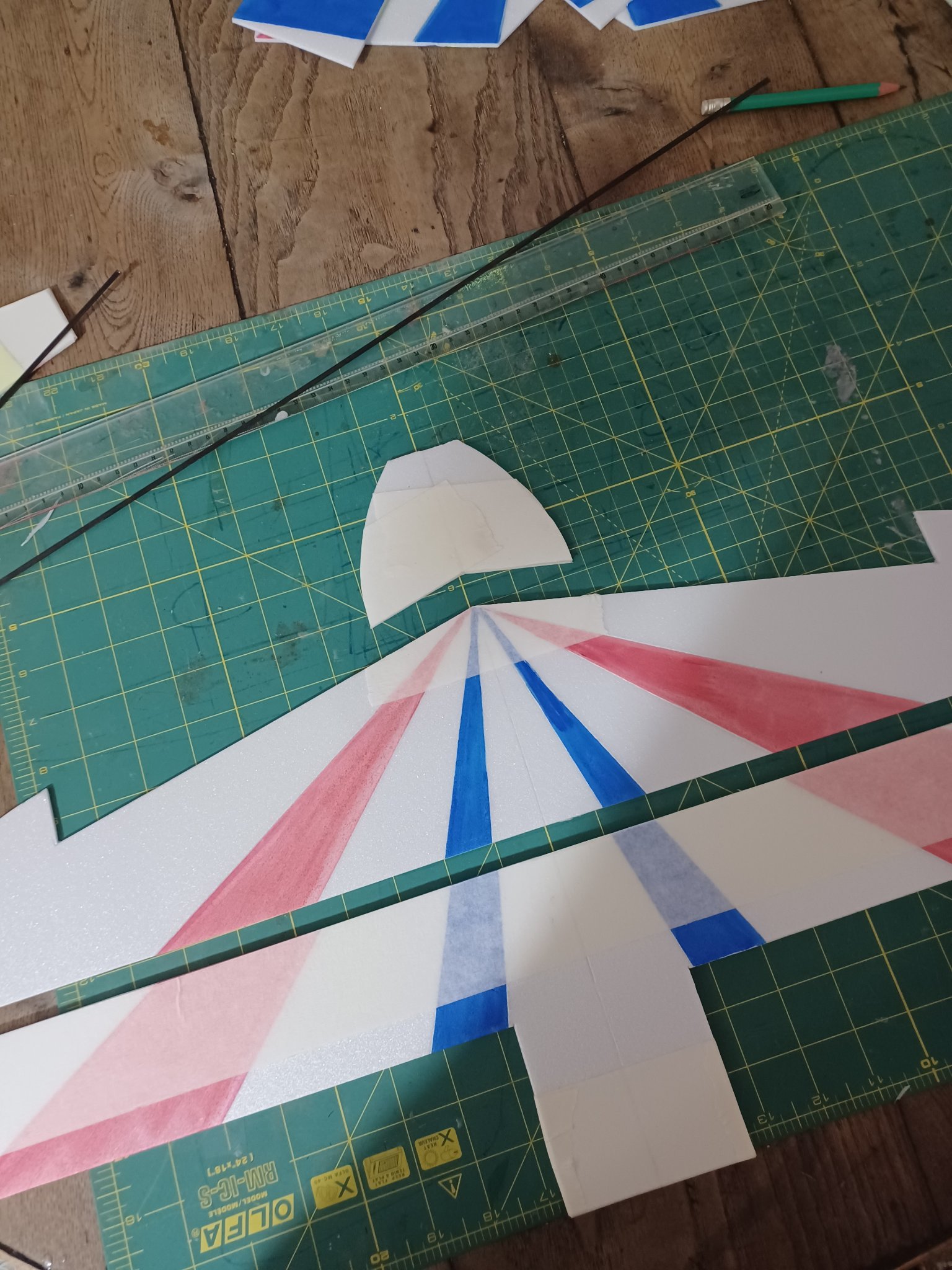 protection du modele pour le collage.jpg