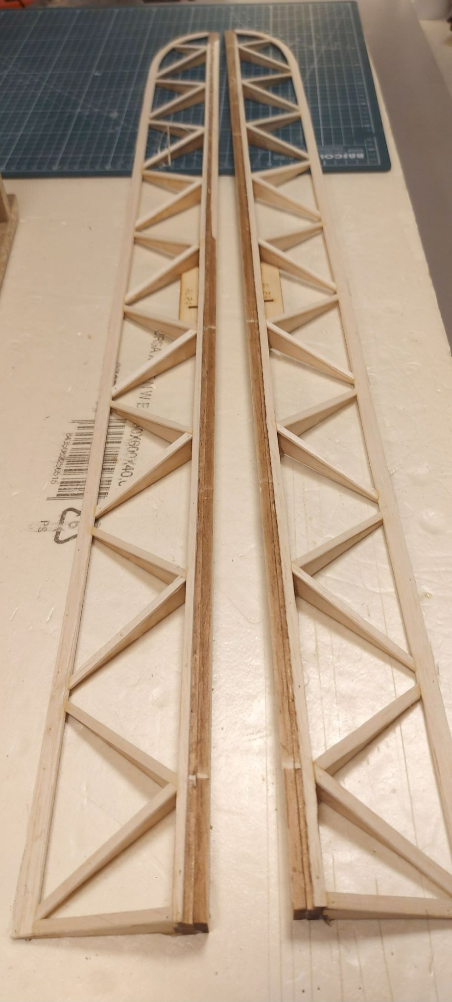 ailerons.jpg