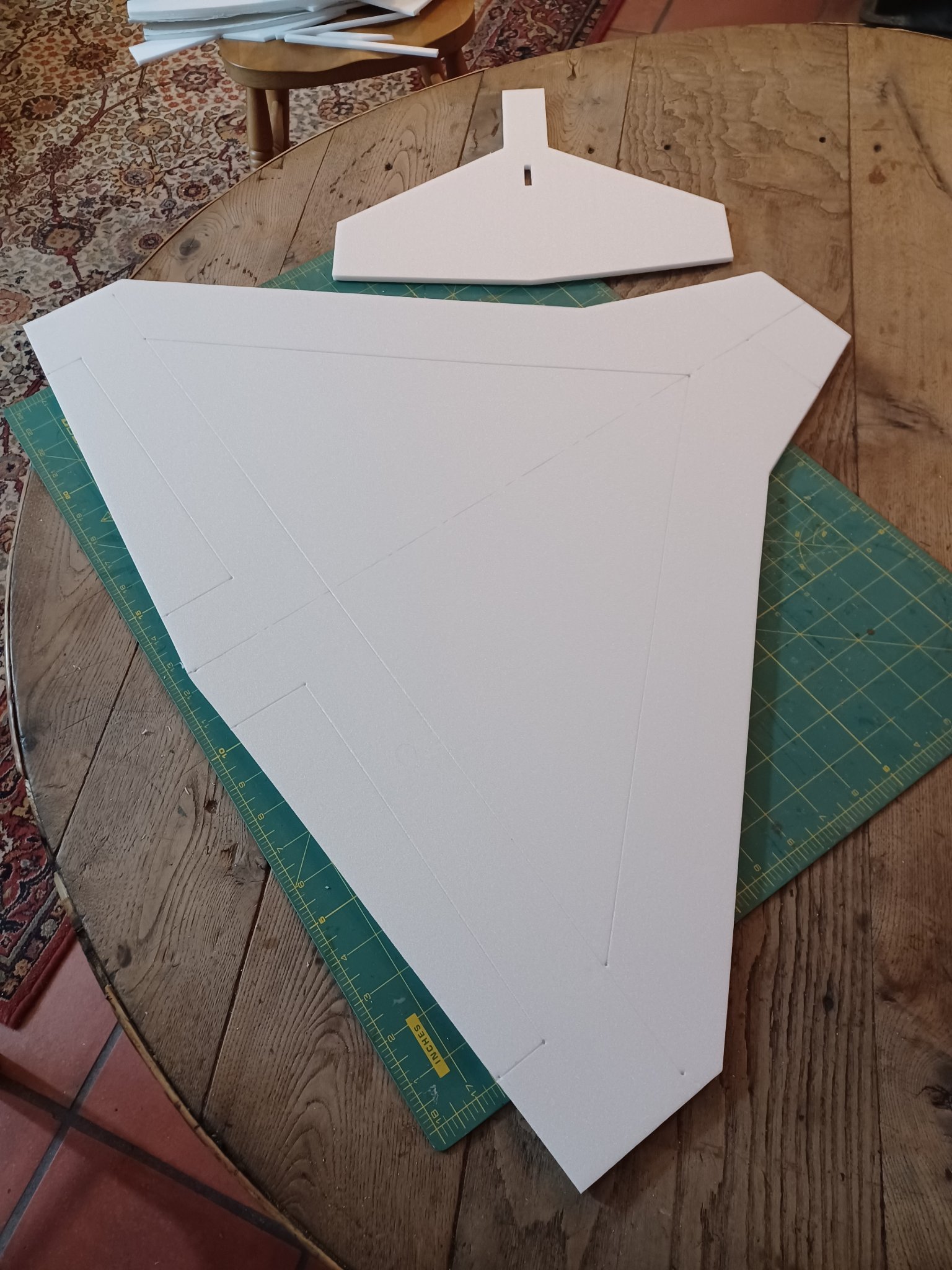 aile et empennage taillés et poncés.jpg