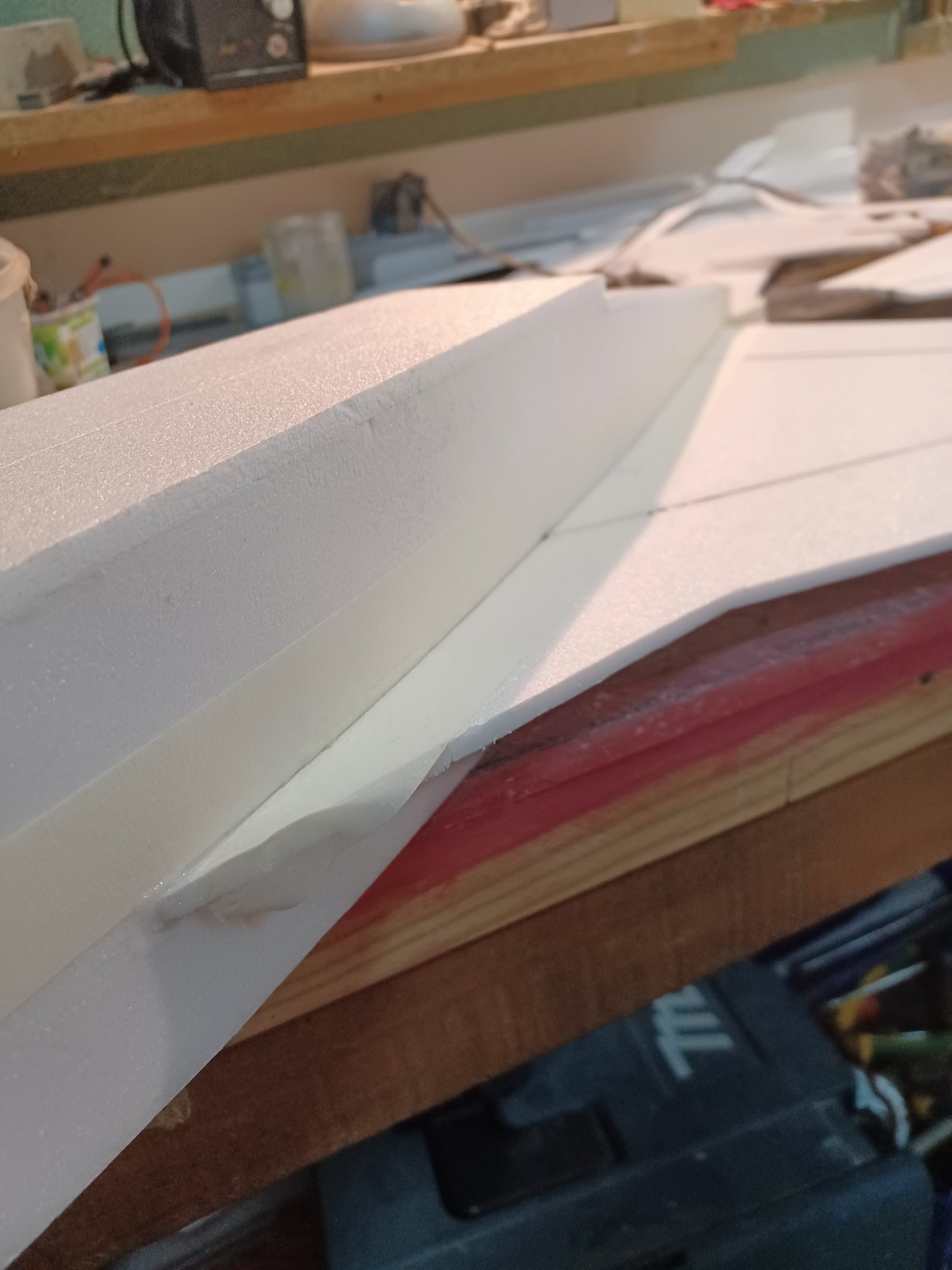 protection collage aile.jpg