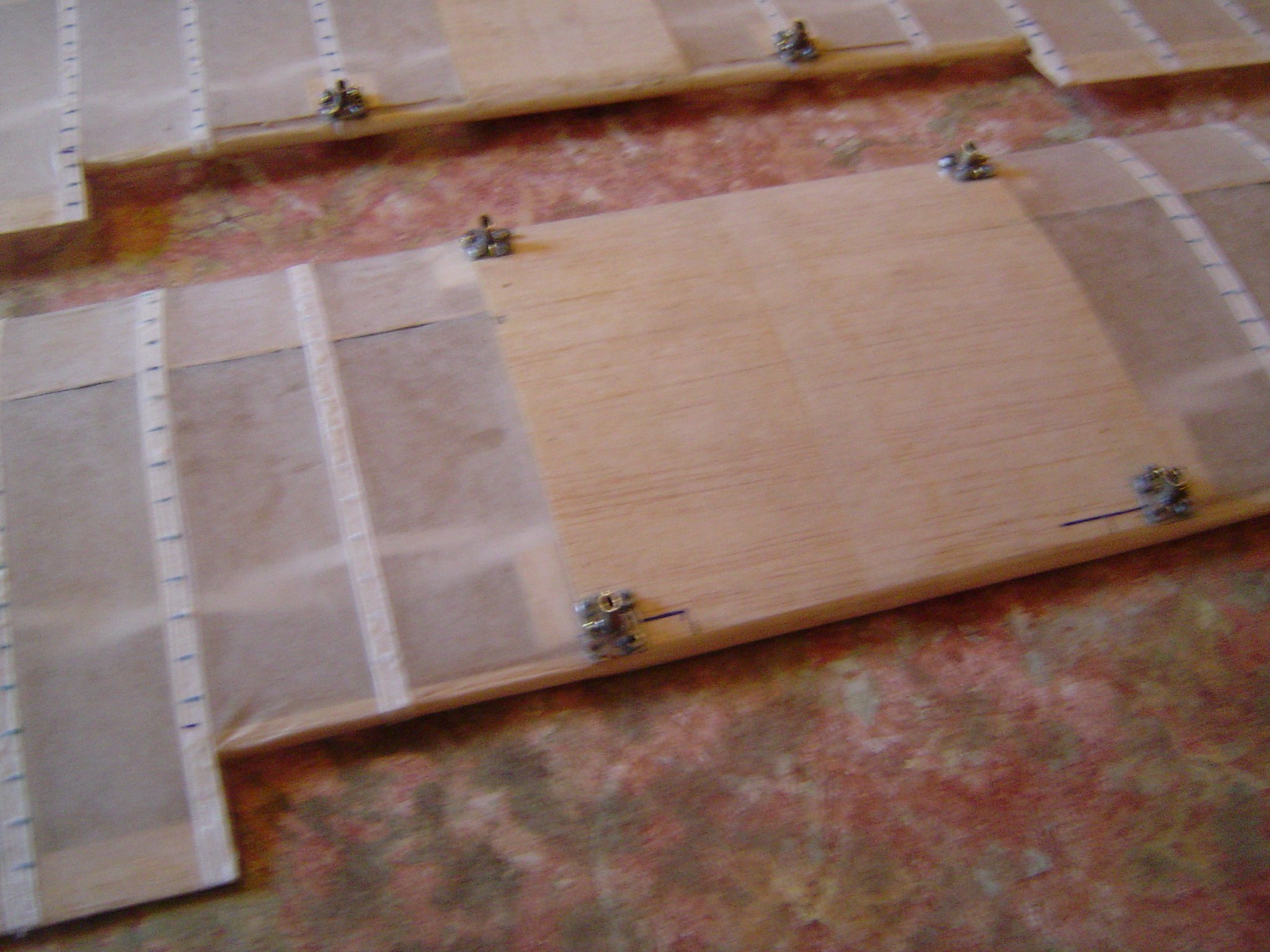 ailes plus support de haubans.JPG