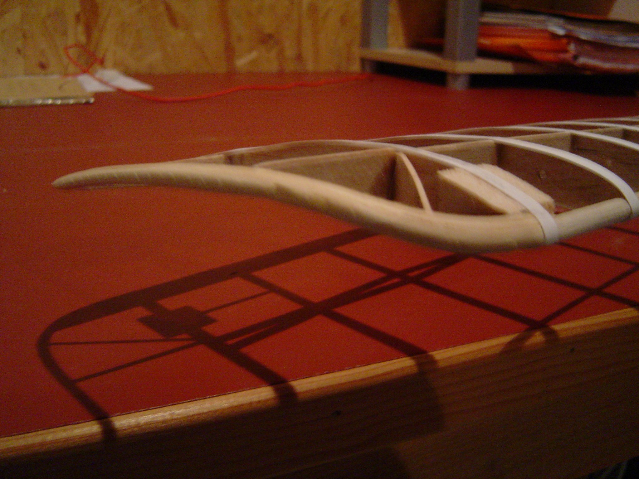 saumon aile superieur.JPG