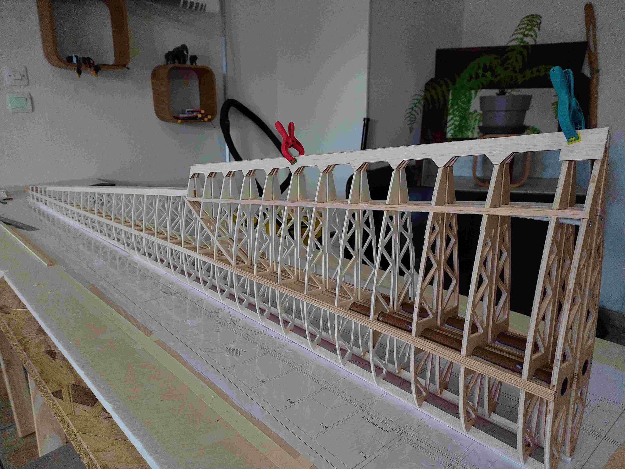 ailes verticales.jpg