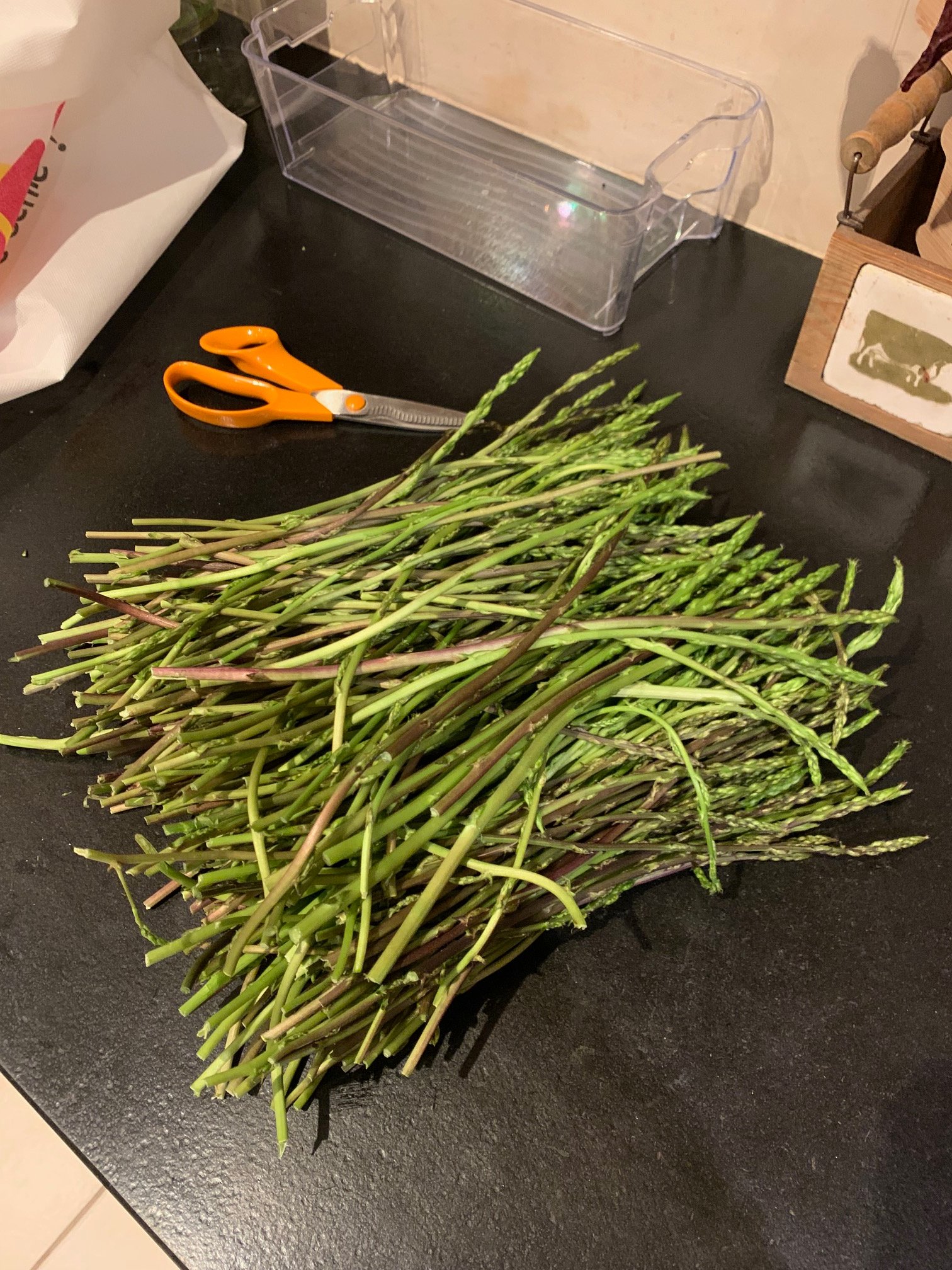 La nature, elle emmerde les experts.jpg