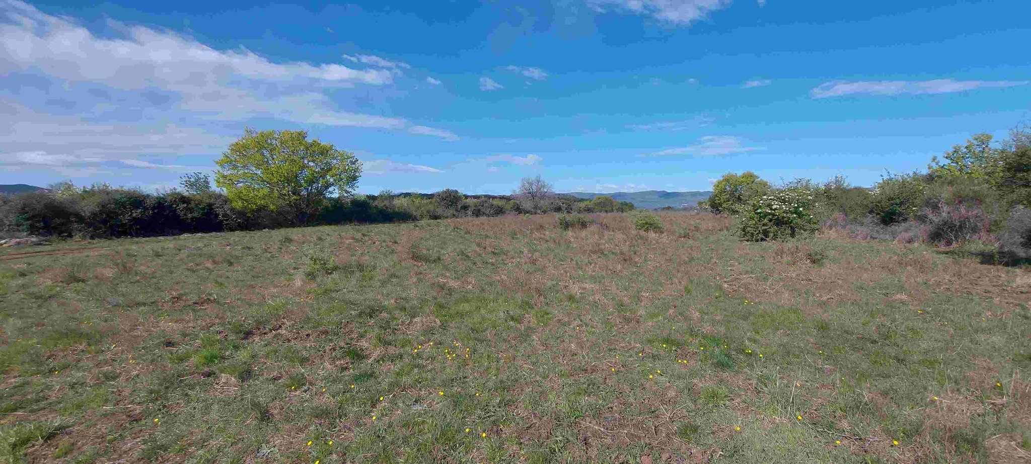 panoramique, vue depuis le haut de la piste.jpg