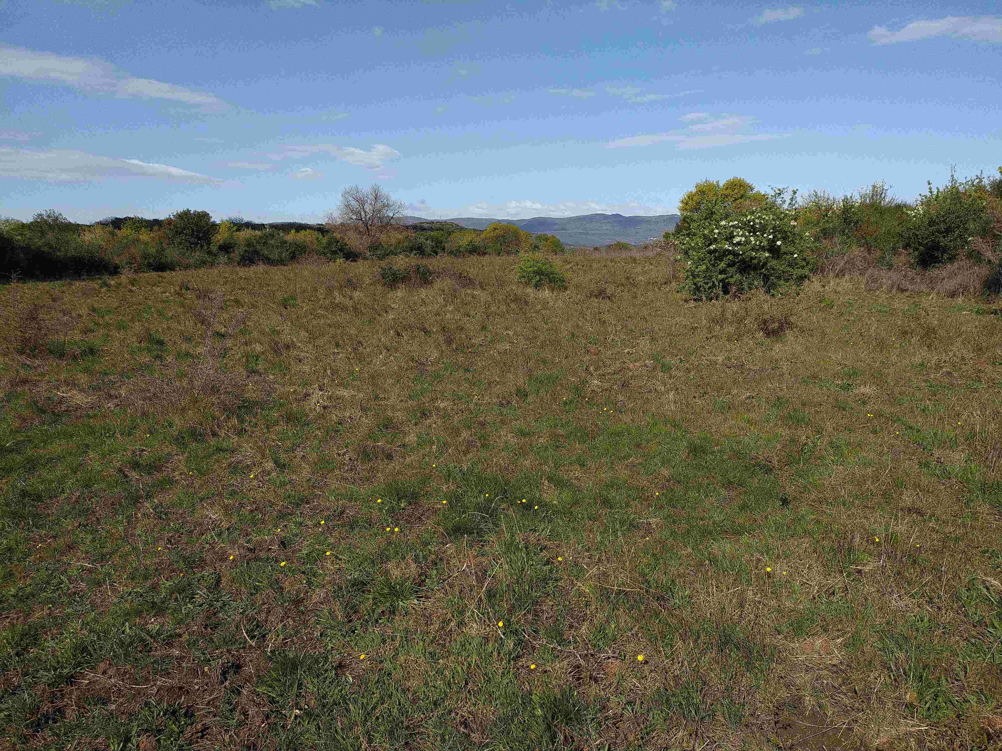 vue vers le bas 1.jpg