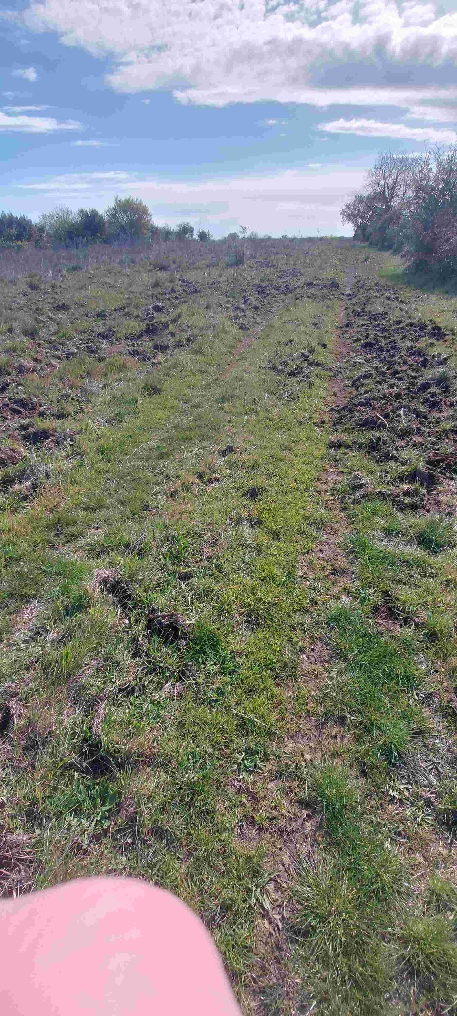 vue vers le haut de la piste.jpg