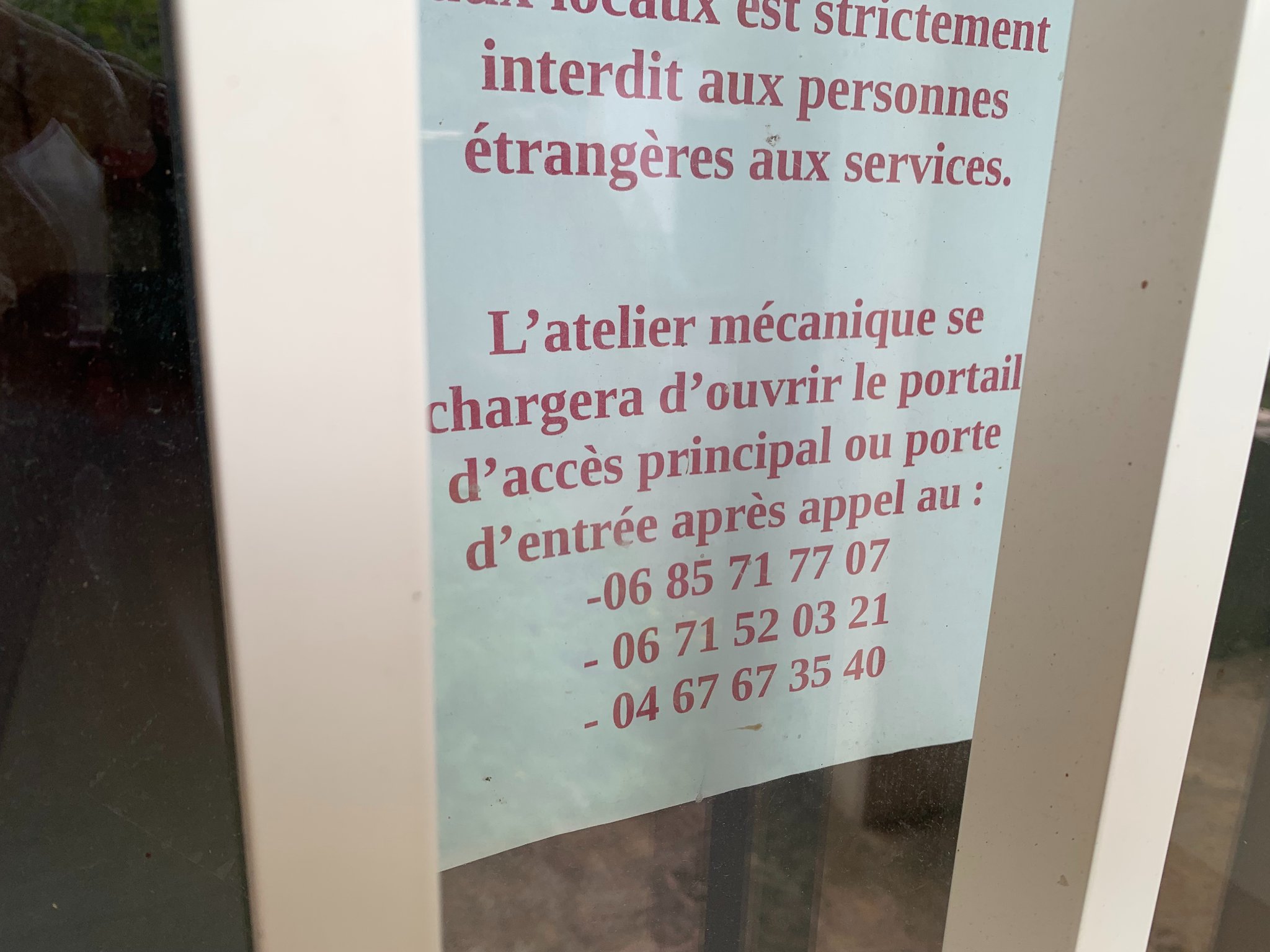 IMG_5924.JPEG
