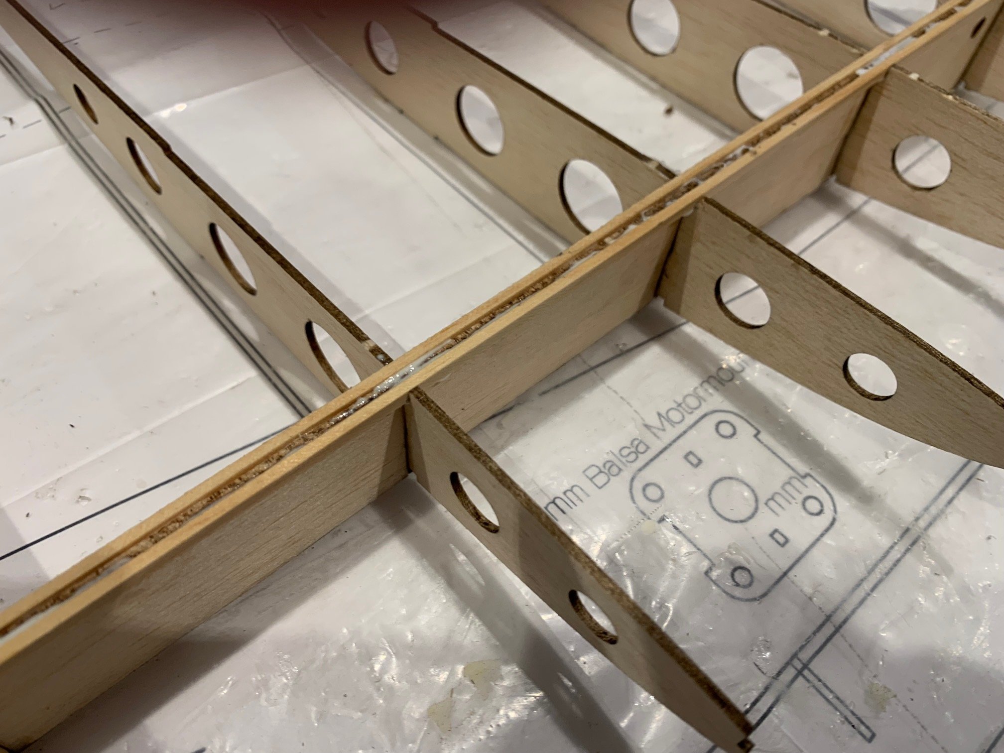 IMG_7867.jpg